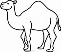 Dibujo De Camello Para Colorear - Ultra Coloring Pages