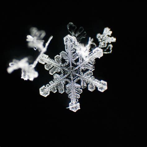 Snowflake Symmetry By Madmike27 On Deviantart