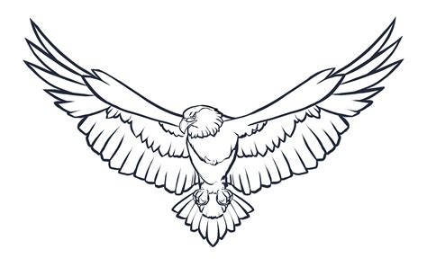 Eagle Wings Png Photo Png Arts