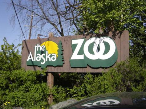Alaska Zoo Wikipedia