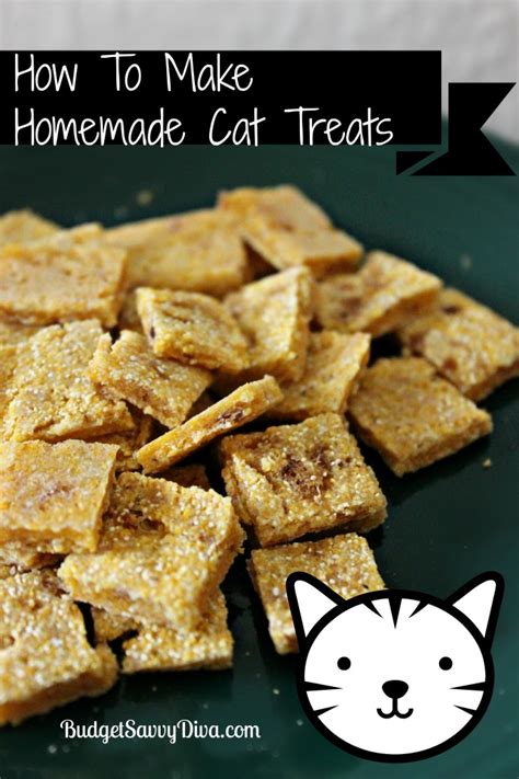But with diy cat treats recipes, you can now make delicious and healthy cat treats that will surely have your cat licking her chops in anticipation. How To Make Homemade Cat Treats Recipe | Budget Savvy Diva