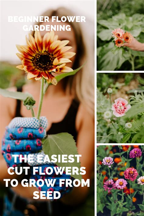 10 Of The Easiest Cut Flowers To Grow From Seed For Beginners From