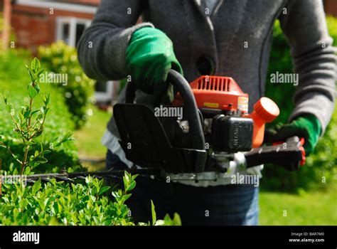 Hedge Hi Res Stock Photography And Images Alamy