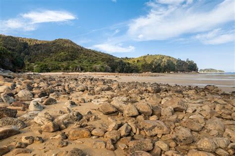 Sandstone Boulders On Sandy Beach At Low Tide In Abel Tasman National