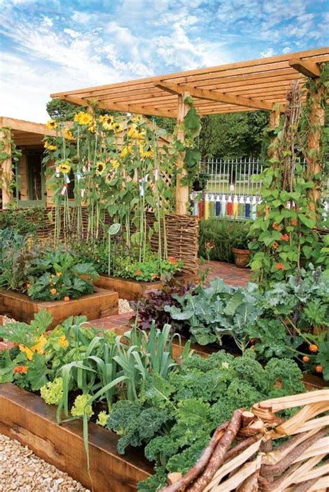 55 Best Backyard Vegetable Garden Designs Ideas Jardins Rústicos