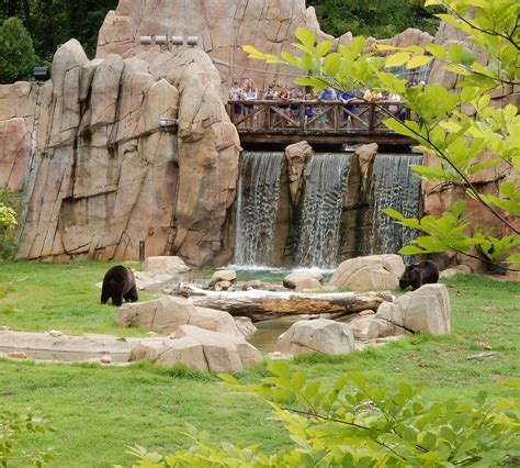 Memphis Zoo Atualizado 2022 O Que Saber Antes De Ir Sobre O Que As
