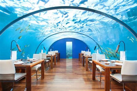 the world s most unusual restaurants revealed