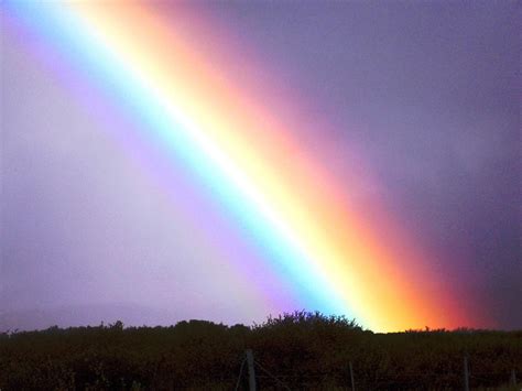 Stunning Rainbow Iceland Iceland Natural Landmarks Trip
