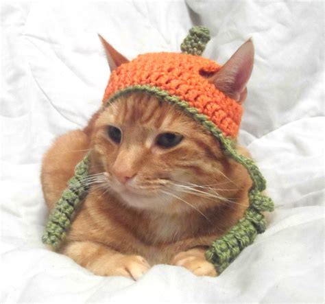 Crochet Cat Hat Halloween Pumpkin Hat For Cats Cat Halloween Costume