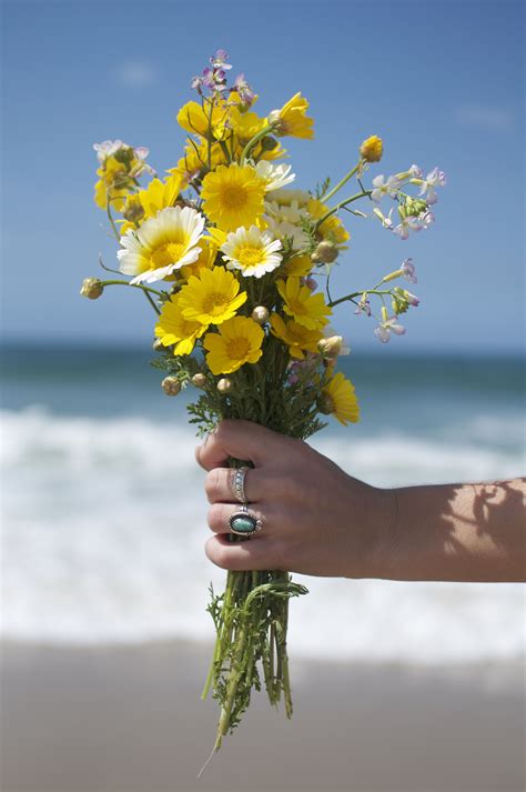 Beautiful Flowers On The Beach