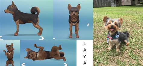 I Made My Dog In Sims 4 Sims4