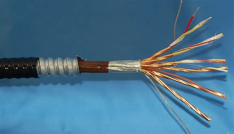type k and kx shielded pairs thermocouple armored 250°c thermal wire and cable llc