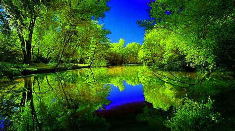 River Between Green Trees Forest With Reflection Of Blue Sky And Trees