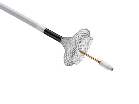 Boston Scientific Launches The Axios Stent And Electrocautery Enhanced
