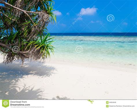 The maldives consist of 1,190 coral islands grouped into 26 atolls off the sw coast of india. Maldives, Tropical Sea Background 2! Stock Photo - Image ...