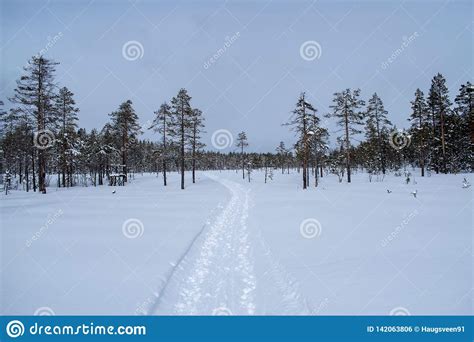 Winter Landscape In Hedmark County Norway Winter