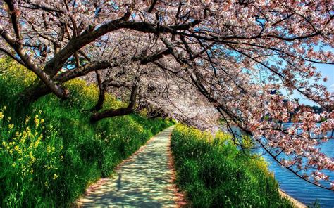 25 Selected Spring Wallpaper High Res You Can Save It Without A Penny