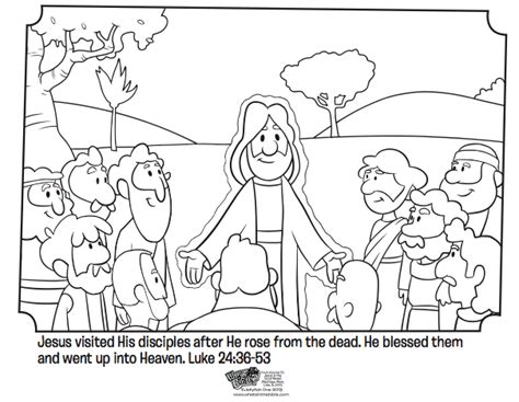 jesus appears   disciples bible coloring pages whats   bible