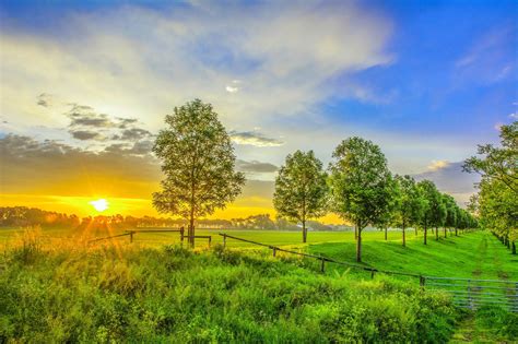 Scenery Sunrise And Sunset Field Trees Nature Wallpapers Hd