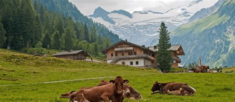 ·austria (a country in central europe). Urlaub am Bio-Bauernhof in Österreich | bookitgreen