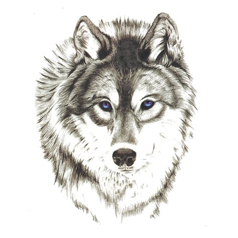 Waterproof Temporary Tattoo Stickers 3d Wild Horror Wolf