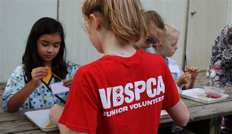 Junior Volunteers - Virginia Beach SPCA