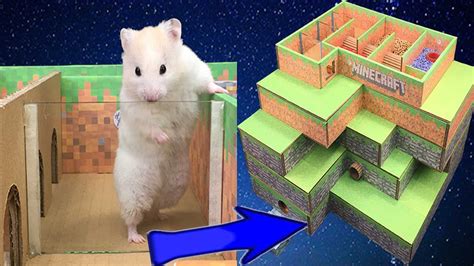 Cute Hamsters In A 5 Level Minecraft Maze Hdv Tv Youtube