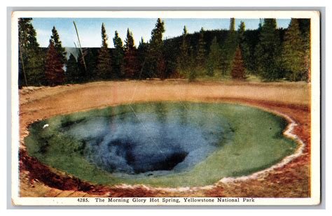 Vintage Postcard The Morning Glory Hot Spring Yellowstone National Park United States