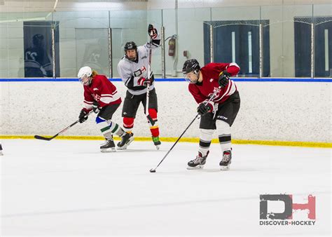 Adult Beginner Ice Hockey Learn To Skate Lessons New Hockey0293
