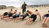 Seal Training School Pictures