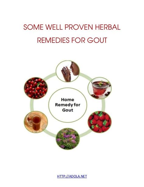 Some Well Proven Herbal Remedies For Gout