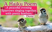 Examples of Intense and Deeply Meaningful Haiku Poems - Penlighten