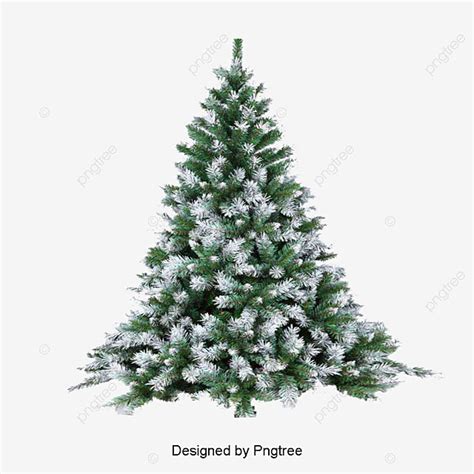 Pine Trees Pine Tree Clipart Snowy Tree Snow Branches Png