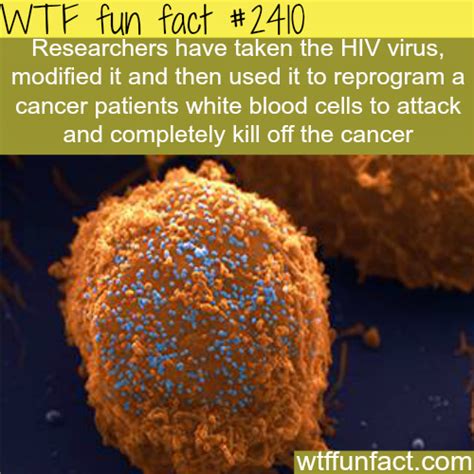 They were discovered by the scientist robert hooke. WTF Facts : funny, interesting & weird facts