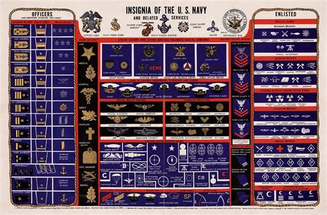 Insignia Of The Us Navy Ranks Uniforms Chart Picture Print Ebay