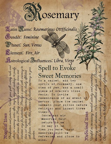 Printable Herb Profiles Book Of Shadows Pages Herb Correspondences