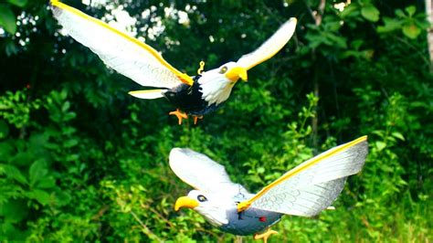 Mainan Burung Elang Ada Suara Bisa Terbang Flying Bald Eagle Toy With