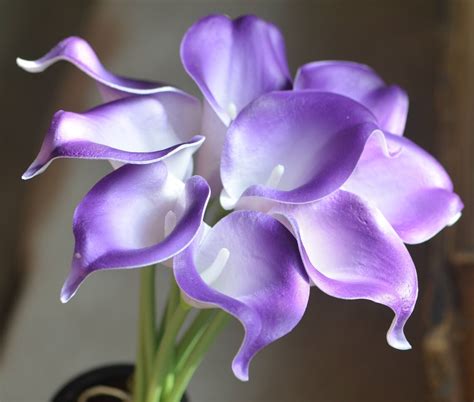 Purple White Calla Lilies Real Touch Flowers Diy Silk Wedding Etsy