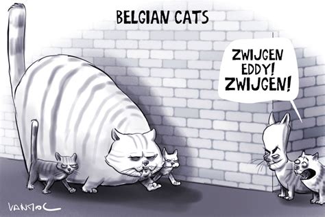 Erwin Vanmol Hij Ger On Twitter Doorbraak BelgianCats Cats