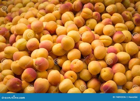 Small Yellow Peaches Fruit Market Background Stock Photo Image Of