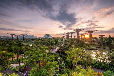 Singapur Die Schönsten Parks Und Gärten Geo