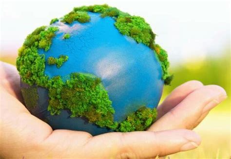 Lo que puedo hacer por el medio ambiente aprendeencasa cuidoelmedioambiente. 6/11: Día Internacional para la Prevención de la ...