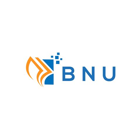 Bnu Credit Repair Accounting Logo Design On White Background Bnu