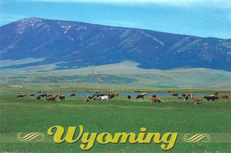 My Favorite Views Wyoming Elk Mountain
