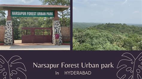 Narsapur Forest Urban Park In Hyderabad Triopriya Youtube