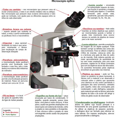Partes Do Microscópio óptico E Suas Funções ENSINO