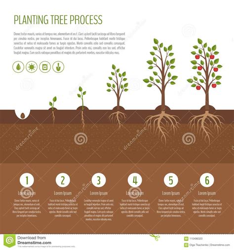 Check spelling or type a new query. Planting Cartoons, Illustrations & Vector Stock Images ...
