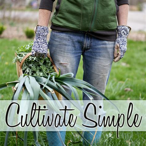 Cultivate Simple Podcast Listen Via Stitcher For Podcasts
