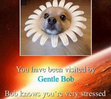 You Have Been Visited By Gentle Bob Beb Knows Youre Very Stressed