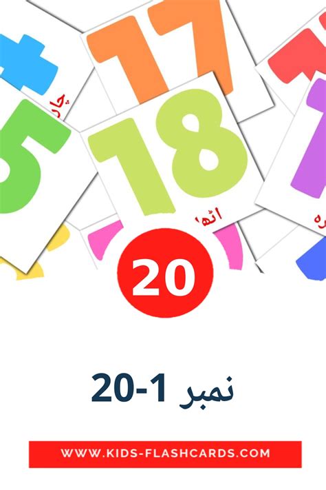 20 FREE Numbers (1-20) Flashcards in PDF | Urdu Pictures
